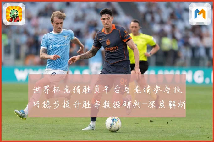 世界杯竞猜胜负平台与竞猜参与技巧稳步提升胜率数据研判-深度解析