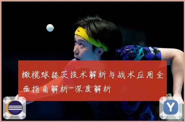 橄榄球赫茨技术解析与战术应用全面指南解析-深度解析